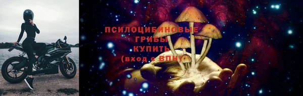гидропоника Богданович