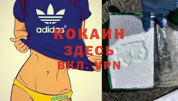 гидропоника Богданович