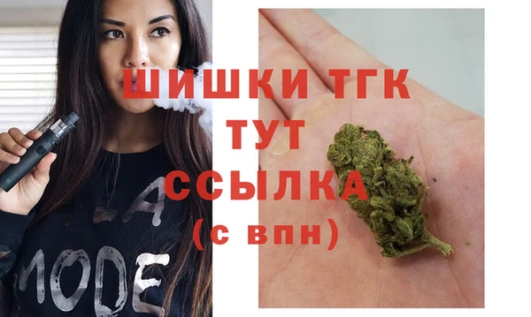гидропоника Богданович