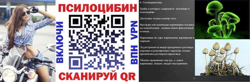 hydra как войти  нарко площадка какой сайт  Тихвин  Галлюциногенные грибы Psilocybe  наркошоп 